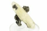 Double Terminated Calcite w/ Cubic Galena and Dolomite - Missouri #252148-1